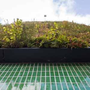 What is sustainable office design - A blog by Select Interiors Manchester