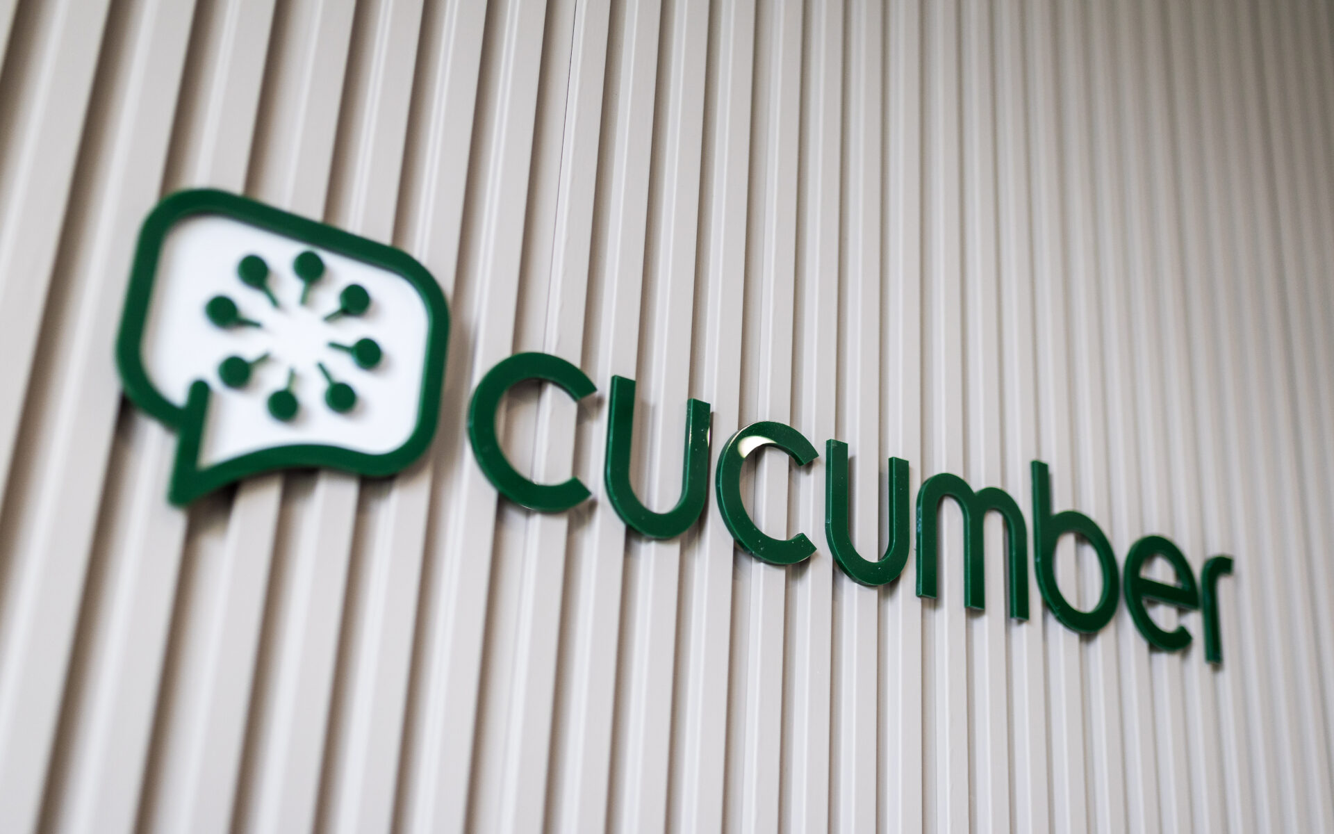 Recruitment Office Fit-Out | Contemporary Workspace Design