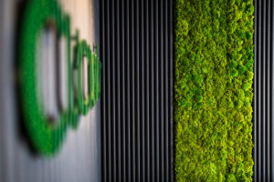 Recruitment Office Fit-Out | Contemporary Workspace Design