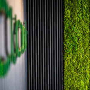 Recruitment Office Fit-Out | Contemporary Workspace Design