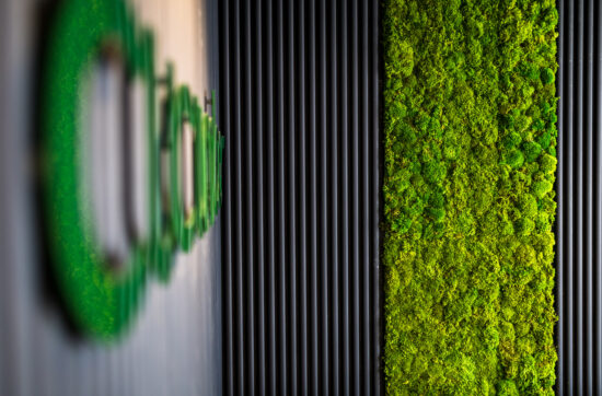 Recruitment Office Fit-Out | Contemporary Workspace Design