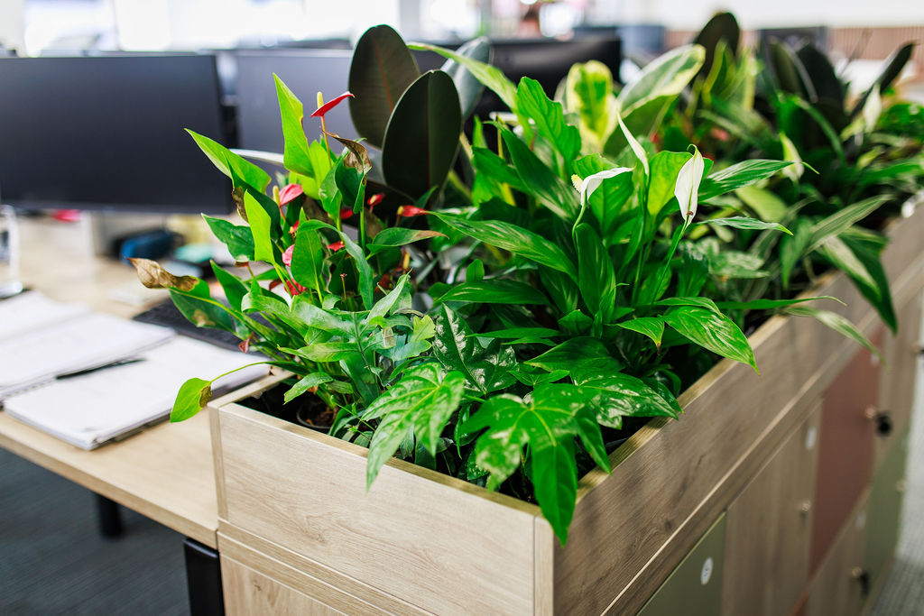 Our Top Commercial Interior Design Trends for Winter 2024 - A blog by Select Interiors in Manchester