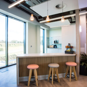 Quiet Corners: Incorporating Zen Principles into Office Interior Design